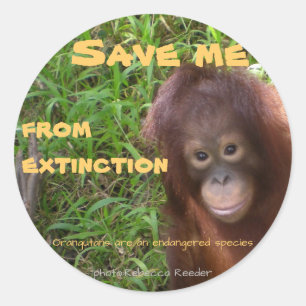 Bedreigde diersoort Orang-oetan Wildlife Ronde Sticker