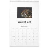Bedreigde grote katten kalender (Mar 2027)