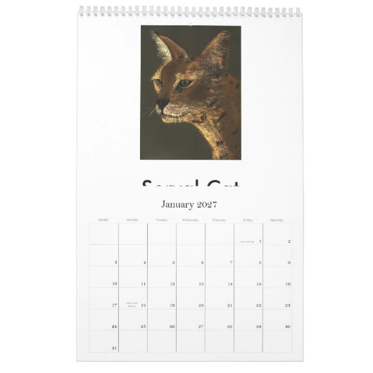 Bedreigde grote katten kalender (Jan 2027)