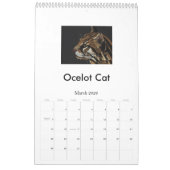 Bedreigde grote katten kalender (Mar 2026)