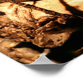 bedreigde Jamaicaan Iguana, Cyclura collei Poster (Hoek)