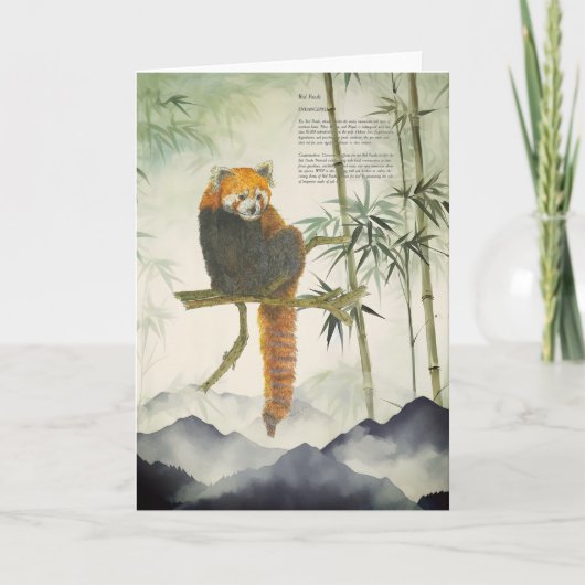 Bedreigde met de hand beschilderde rode panda kaart (Voorkant)