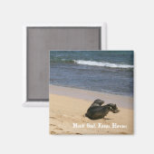 Bedreigde monniksrob Kauai Hawaii Magneet (Voorkant / Achterkant)