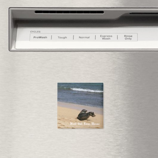 Bedreigde monniksrob Kauai Hawaii Magneet (Insitu (Vaatwasser))