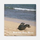 Bedreigde monniksrob Kauai Hawaii Magneet (Voorkant)