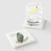 Bedreigde Nicobarduif Stenen Onderzetter (Zijkant)