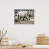 bedreigde noordelijke witte Rhinos Poster (Keuken)
