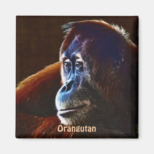 Bedreigde orang-oetan Red Apes Wildlife Art Magnet (Voorkant)