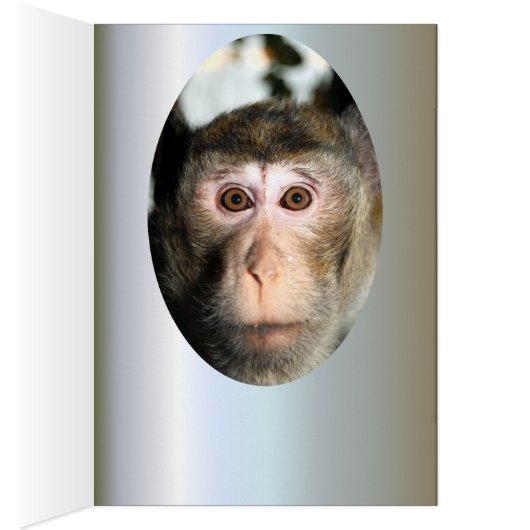 bedreigde regenwoud Ape (Binnen (Rechts))