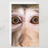 bedreigde regenwoud Ape Briefpapier (Voorkant / Achterkant)