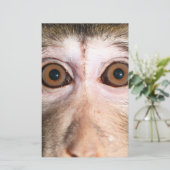 bedreigde regenwoud Ape Briefpapier (Staand voorkant)