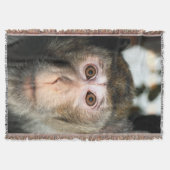 bedreigde regenwoud Ape Deken (Voorkant)