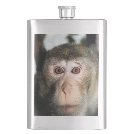 bedreigde regenwoud Ape Flacon (Voorkant)