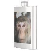 bedreigde regenwoud Ape Flacon (Links)
