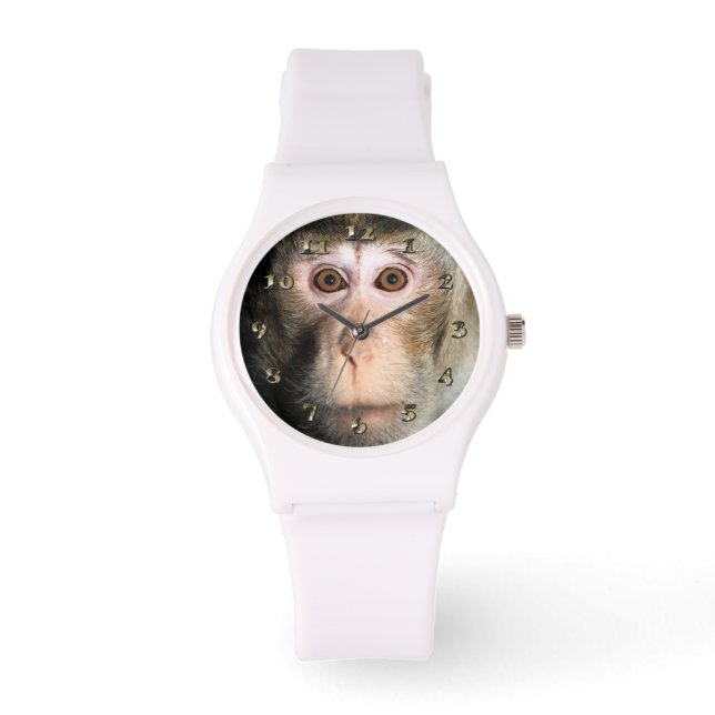 bedreigde regenwoud Ape Horloge (Voorkant)