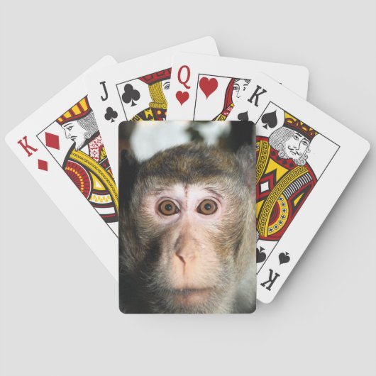 bedreigde regenwoud Ape Pokerkaarten (Achterkant)