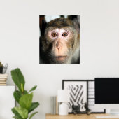 bedreigde regenwoud Ape Poster (Thuiskantoor)