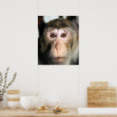 bedreigde regenwoud Ape Poster (Keuken)