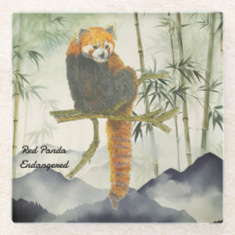 Bedreigde Schattigee handgeschilderde rode panda Glazen Onderzetter