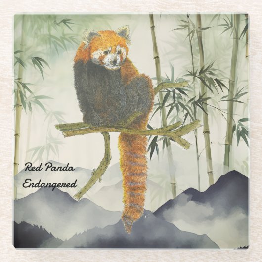 Bedreigde Schattigee handgeschilderde rode panda Glazen Onderzetter (Voorkant)
