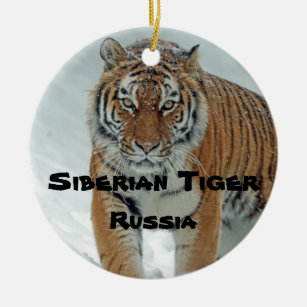 bedreigde soorten Serie Siberische tijger Ornament