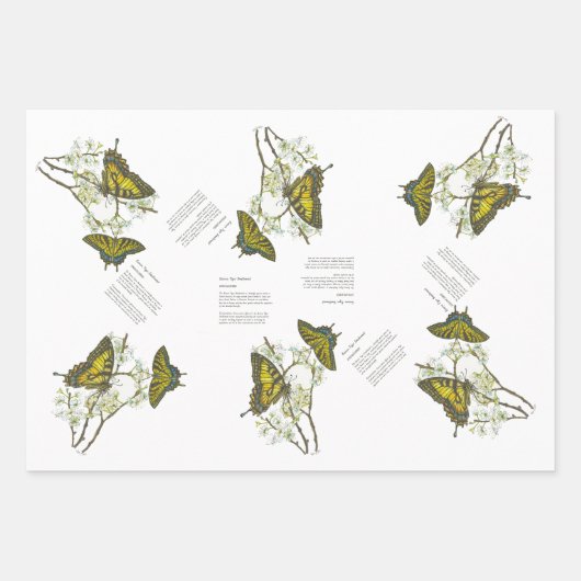 Bedreigde Swallowtail en Honeyeater Handbeschilder Inpakpapier Vel (Voorkant 3)