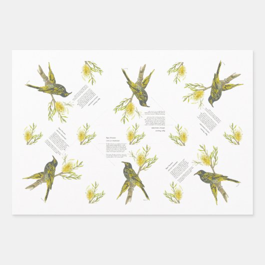 Bedreigde Swallowtail en Honeyeater Handbeschilder Inpakpapier Vel (Voorkant 2)
