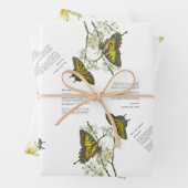 Bedreigde Swallowtail en Honeyeater Handbeschilder Inpakpapier Vel (In situ)