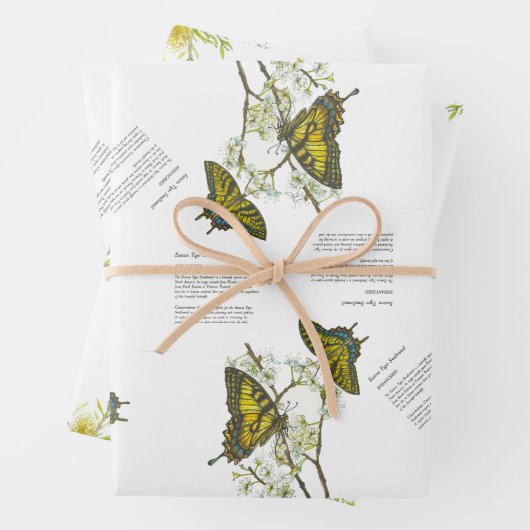 Bedreigde Swallowtail en Honeyeater Handbeschilder Inpakpapier Vel (In situ)