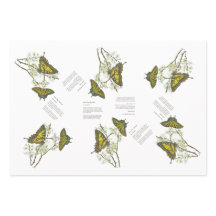 Bedreigde Swallowtail en Honeyeater Handbeschilder