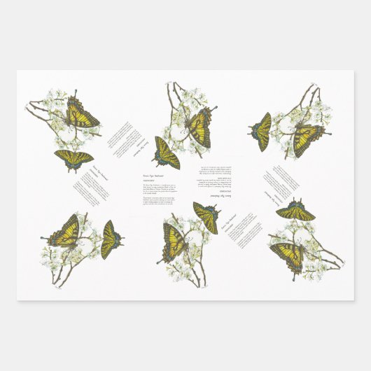 Bedreigde Swallowtail en Honeyeater Handbeschilder Inpakpapier Vel (Voorkant)