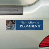 BEDREIGDE TIJGERS Bumpersticker Series (Op auto)