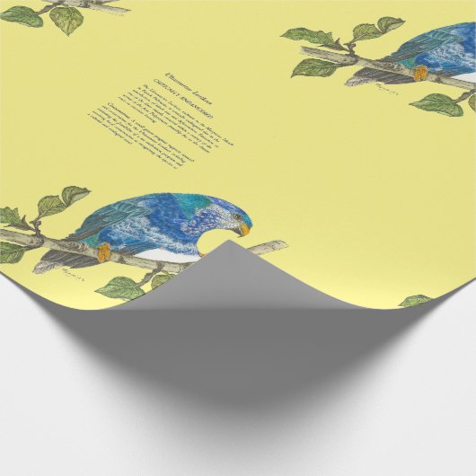 Bedreigde Ultramarijn Loriket aquarellen Cadeaupapier (Hoek)