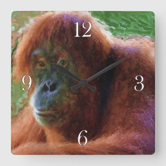 Bedreigde Vrouw Orangutan Primate Wildlife Art Vierkante Klok (Voorkant)