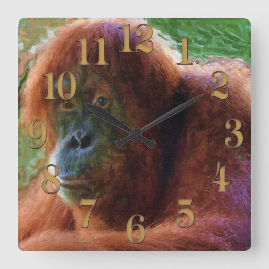 Bedreigde Vrouw Orangutan Primate Wildlife Art Vierkante Klok (Voorkant)