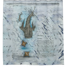 Bedreigde Walvishaai aquarellen