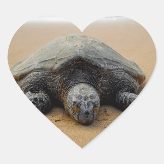 Bedreigde Zee Turtle Sticker (Voorkant)