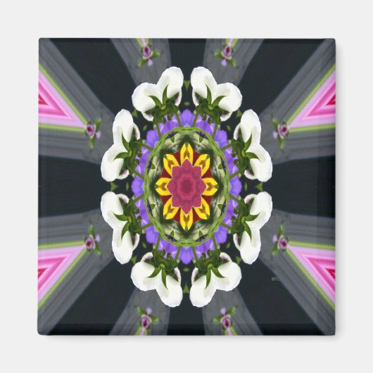 Bedreiging van Pansies.... Magneet (Voorkant)