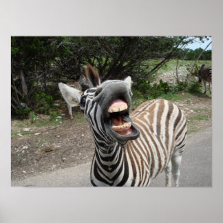 bedrieglijk zebra poster
