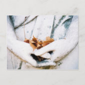 Bedrijf Briefkaart (Voorkant)