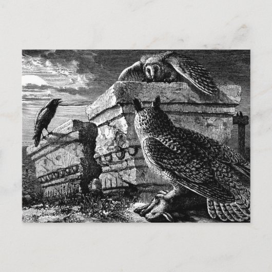 Bedrijf dat briefkaart verschuldigd is (Voorkant)