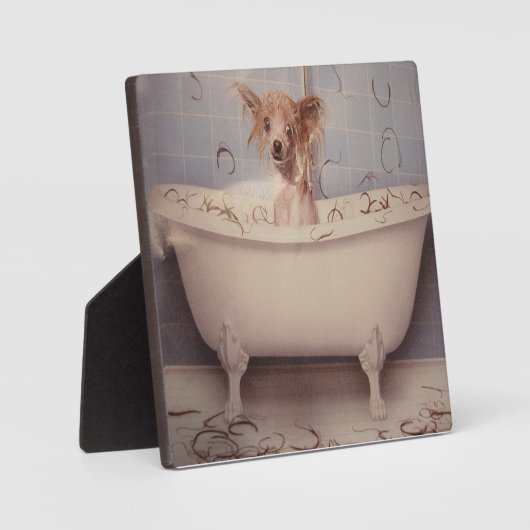 BEDRIJFPOPPY FOTOPLAAT (Voorkant)