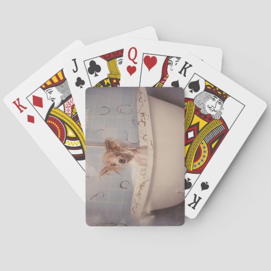 BEDRIJFPOPPY POKERKAARTEN (Achterkant)
