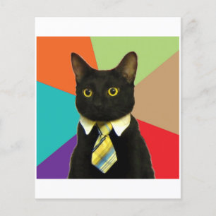 Bedrijfs auto-advies Dierenthema Flyer