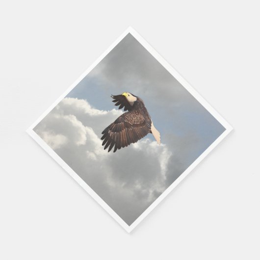 BEDRIJFSELLE SERVET (Hoek)