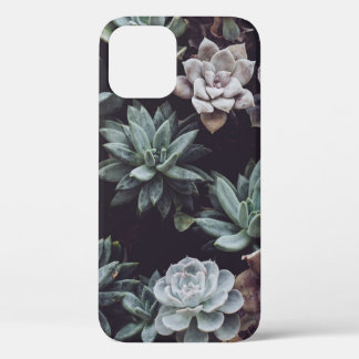BEDRIJFSKLEURENSUCCULENTE PLANT Case-Mate iPhone CASE