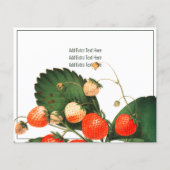 BEDRIJFSTAK : GARDEN + FAIRS : STRAWBERRIA FLYER (Achterkant)