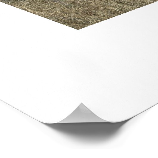 Bedrijfsvergadering - downsizing poster (Hoek)