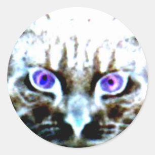 Bedrukte ronde stickers