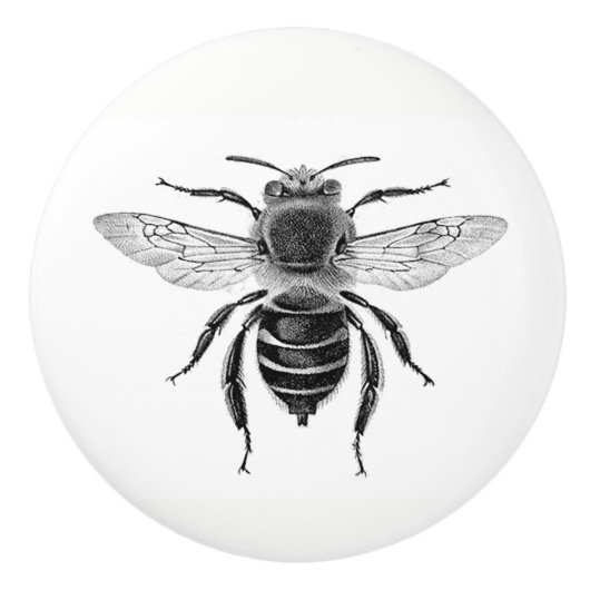 Bee 10 Knob Keramische Knop (Voorkant)